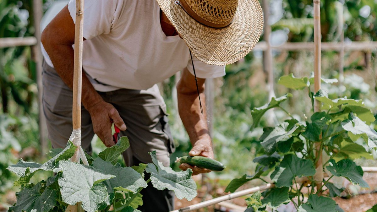 Phaea Blue Elounda Crete